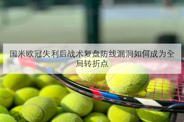张伟丽与舍甫琴科数据对比解析谁的终结能力更强